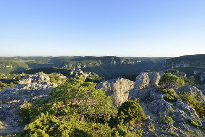 France, Montpellier Vieux
