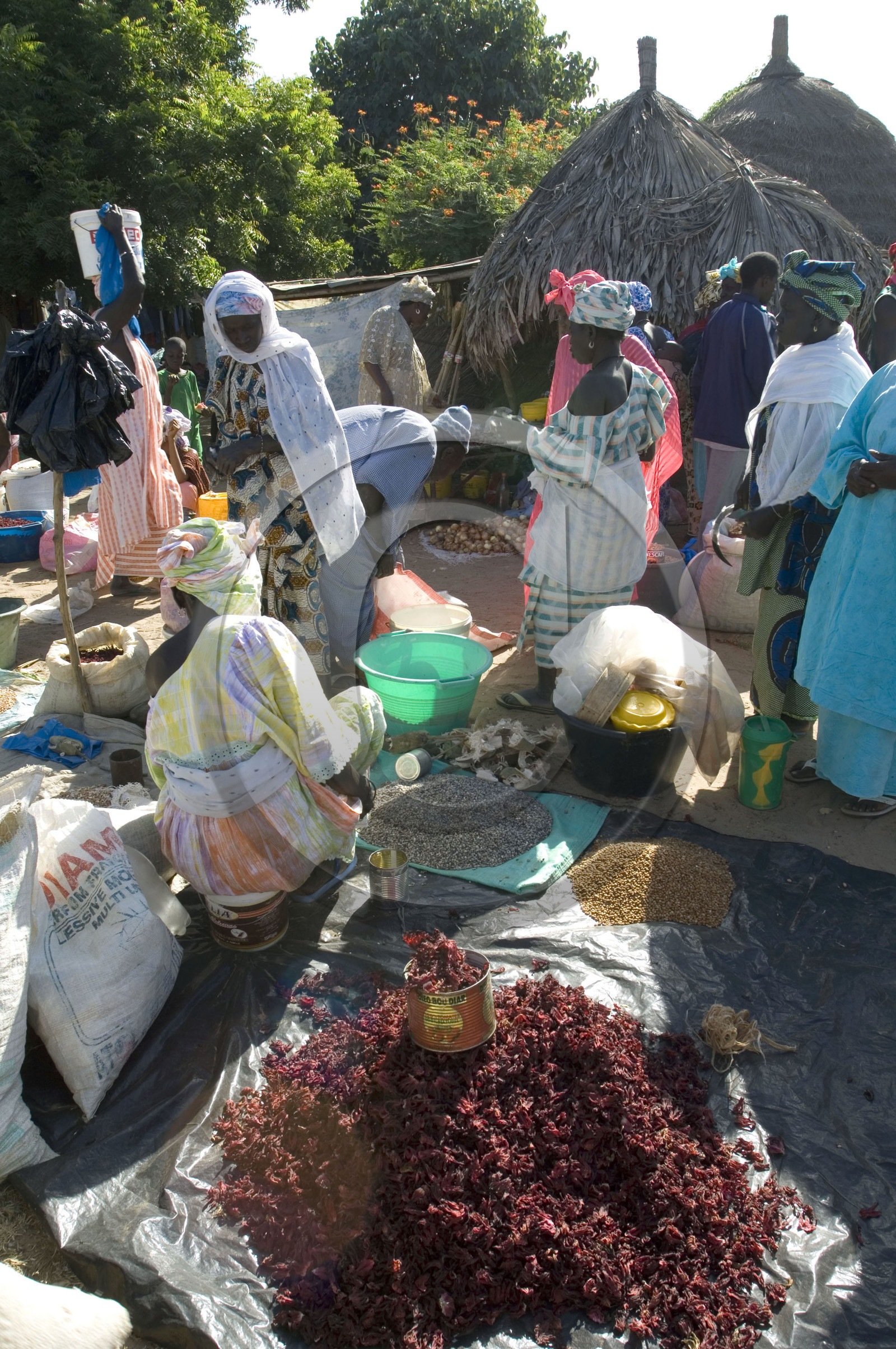 Marché de Gueguenne, Sénégal