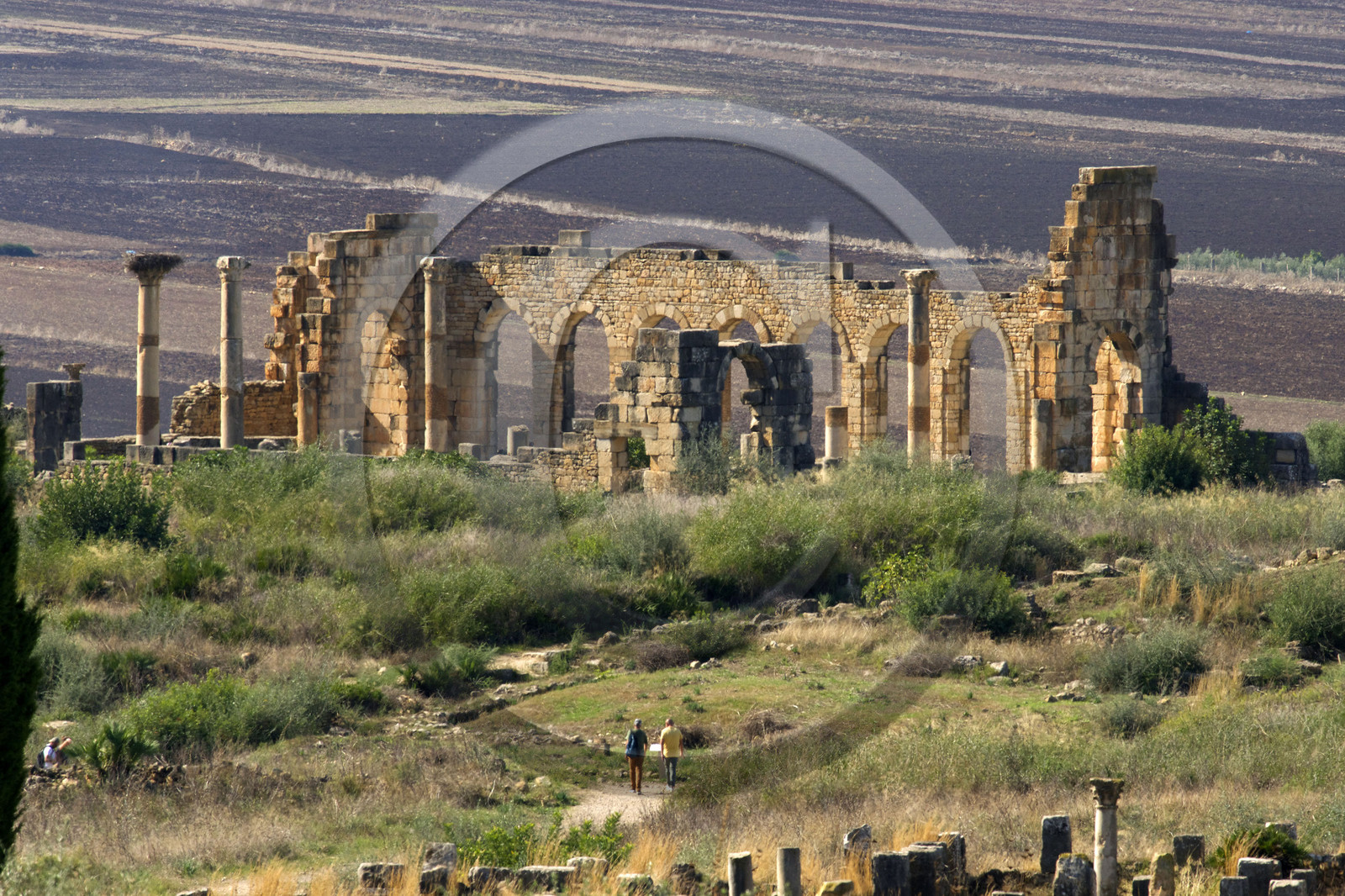 Maroc, Volubilis