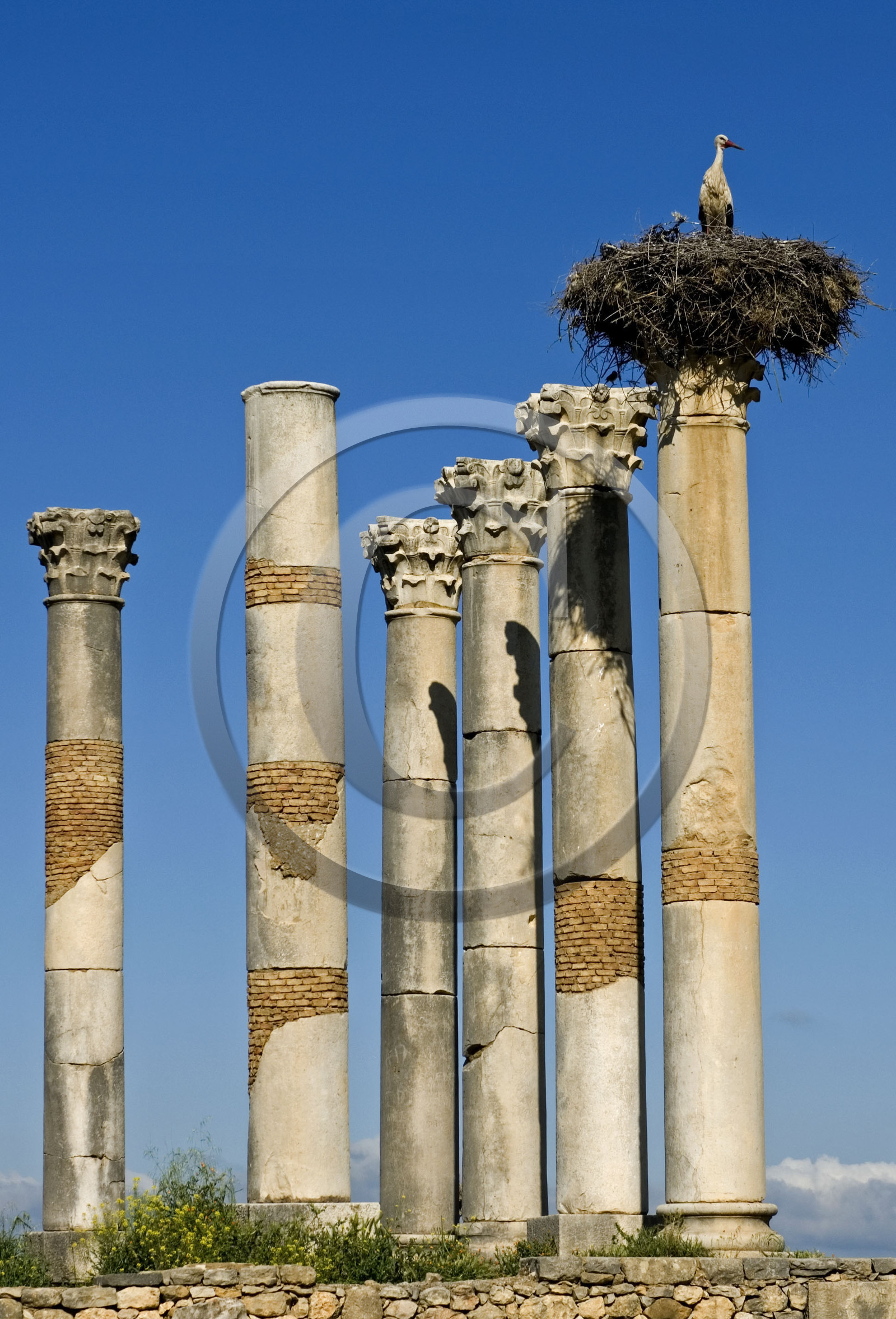 Volubilis, Morokko