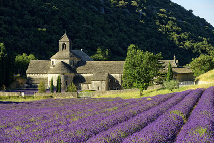 France, Senanque