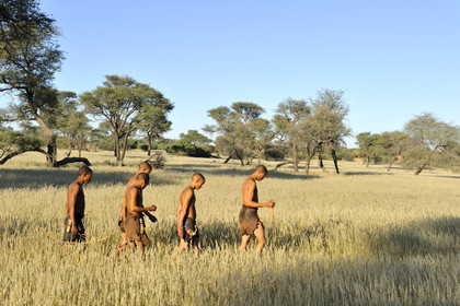 Namibie, Kalahari