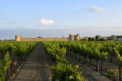 France, Aigues Mortes