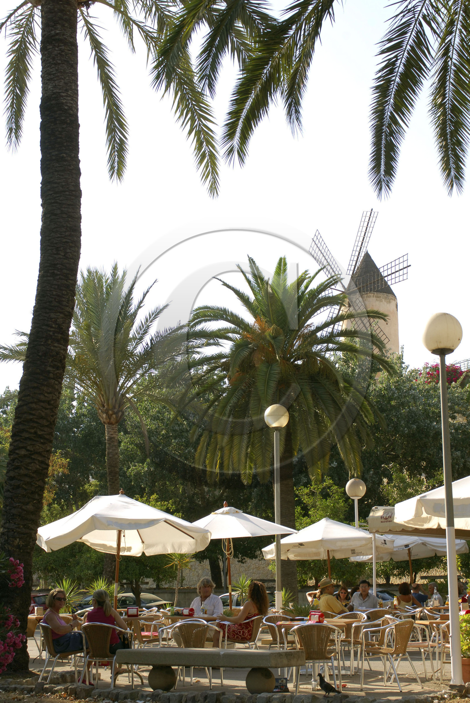 Mallorca, Balearic Islands