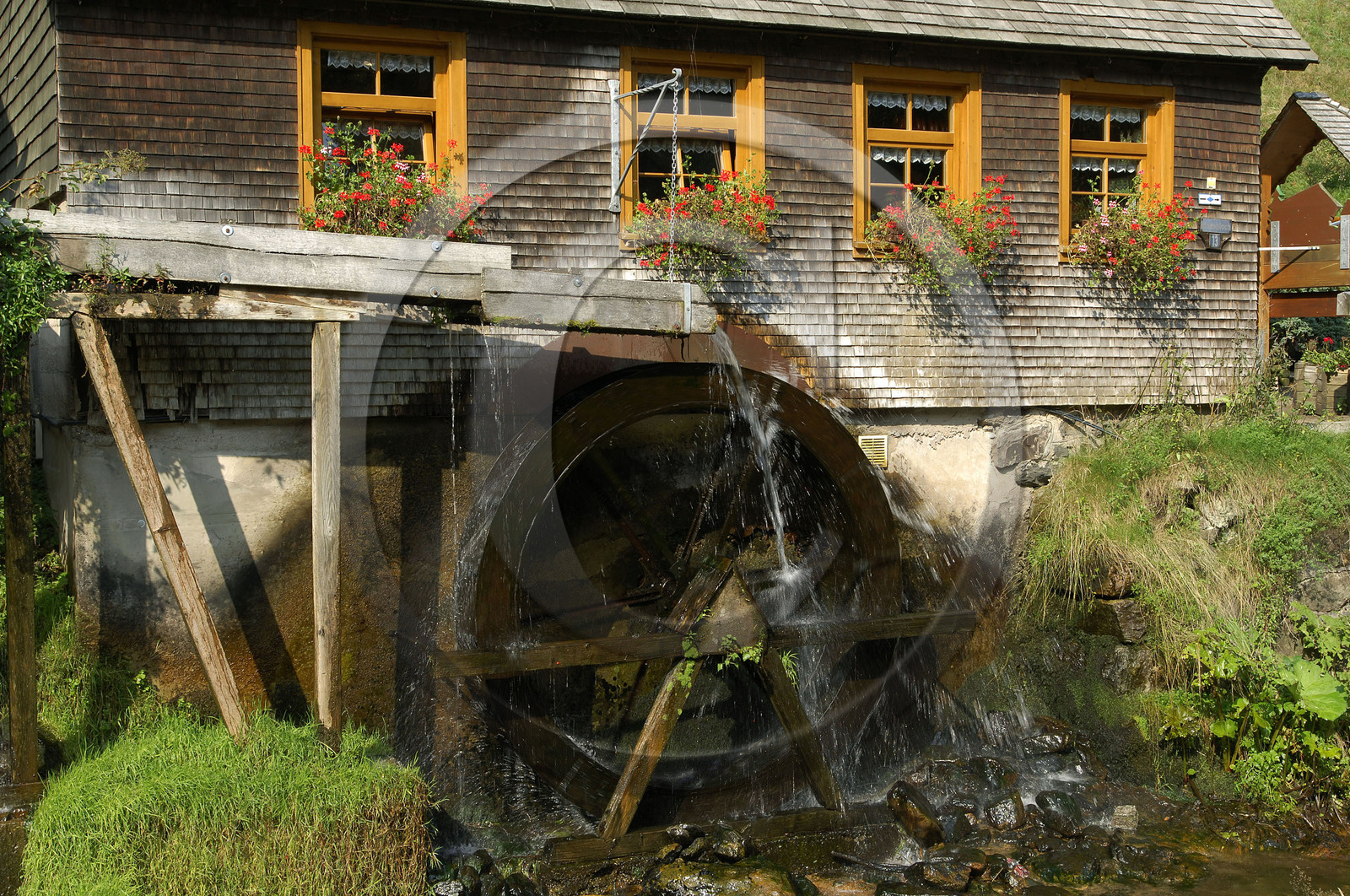 Black Forest, Germany