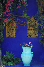 MAROC   MARRAKECH.JARDINS MAJORELLE