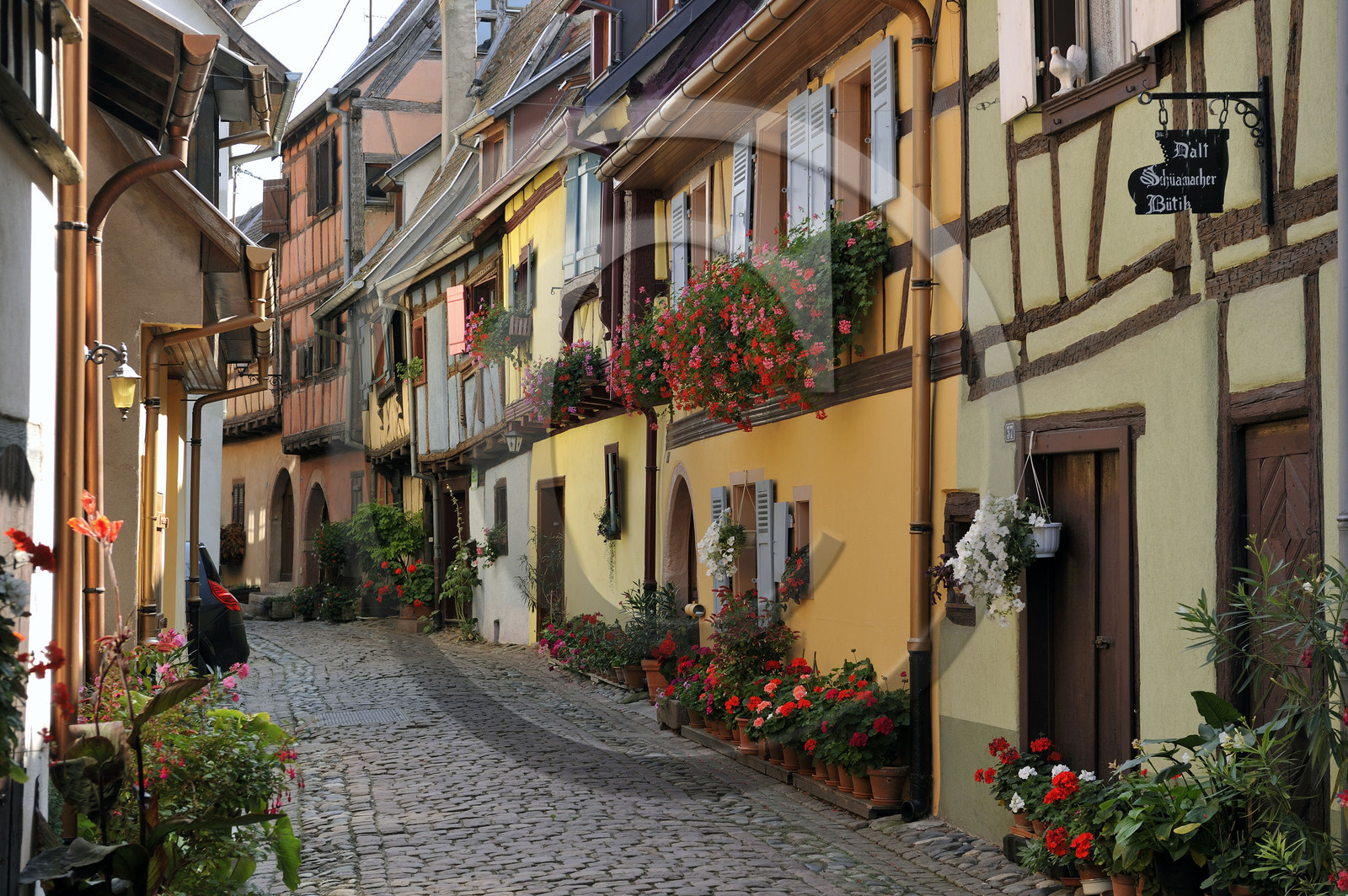 France, Eguisheim