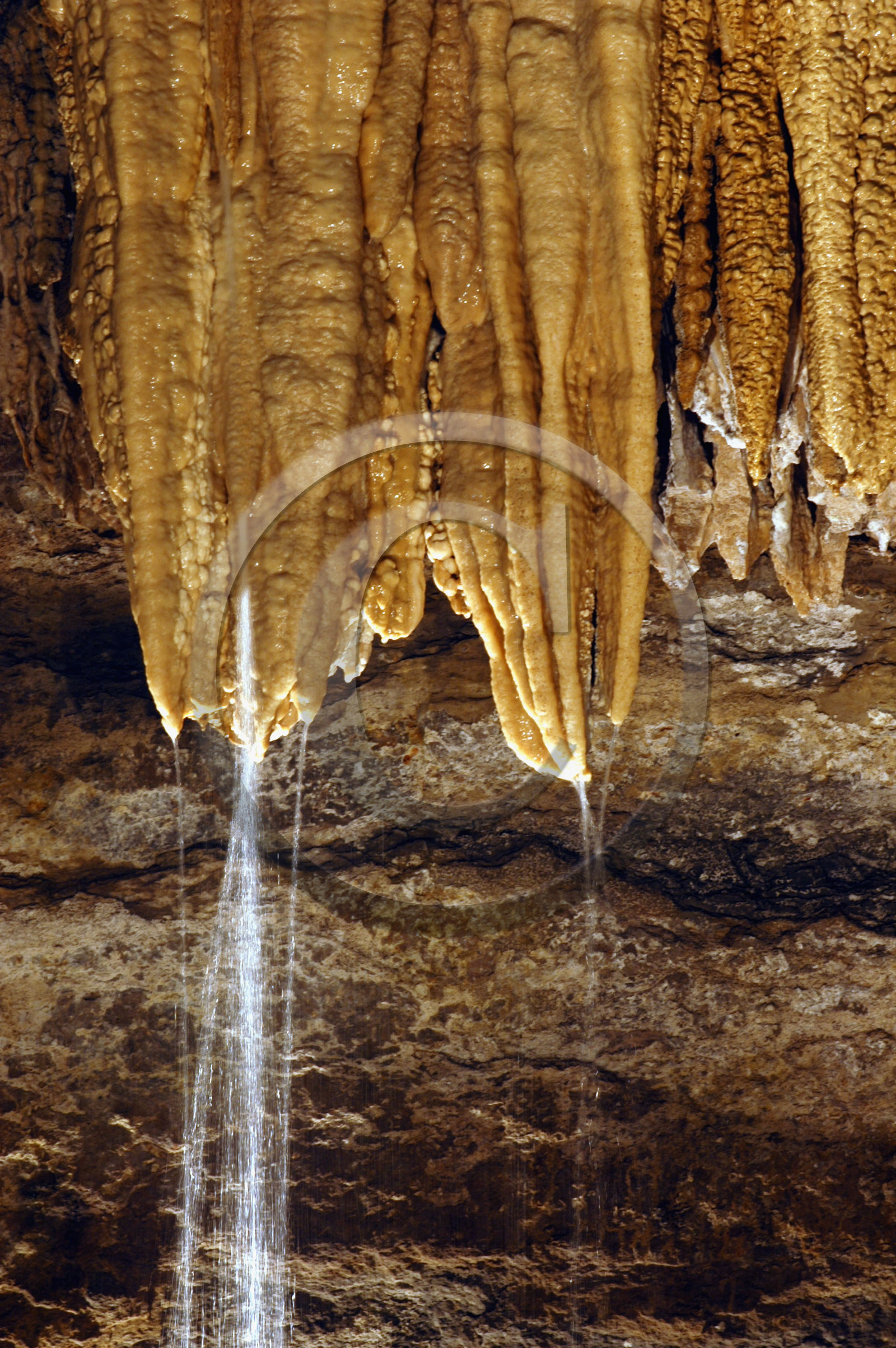 Franche-Comte, France