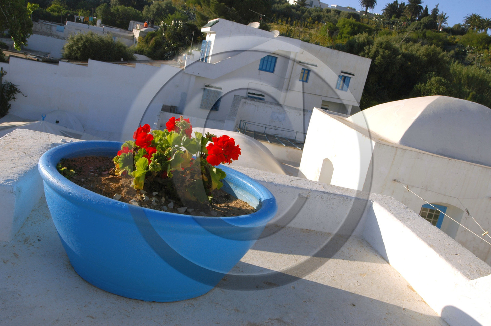 Sidi Bou Said, Tunisie