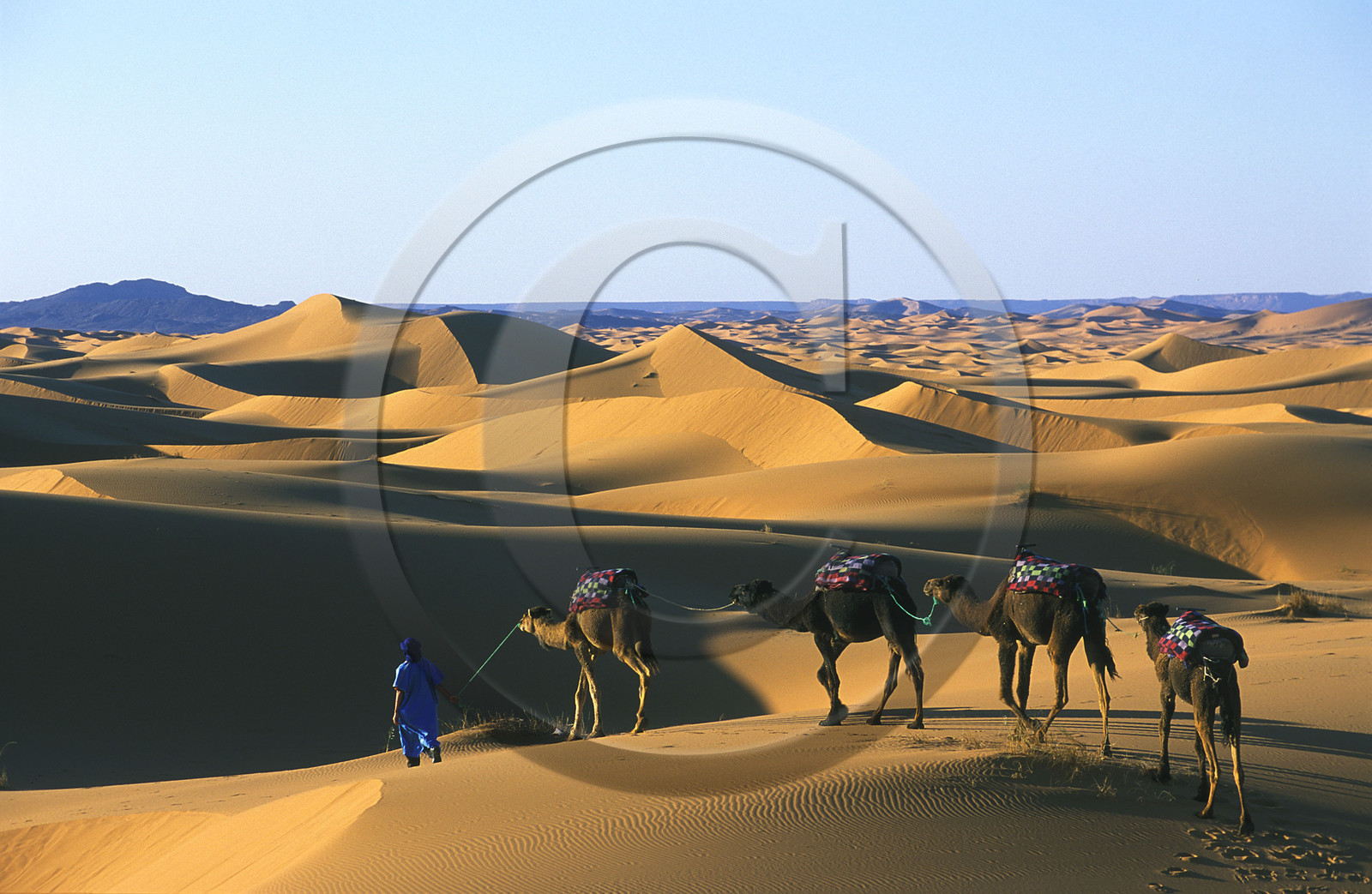 MAROC SUD   MERZOUGA.ERG CHERBI