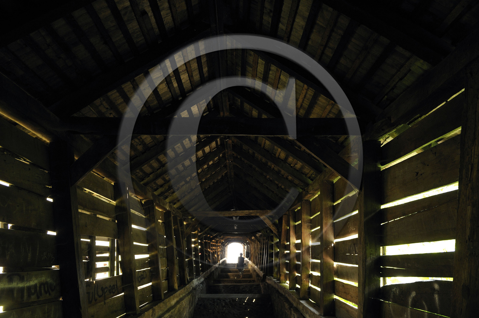 Roumanie, Sighisoara