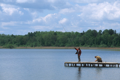 Estonie, Pays Baltes