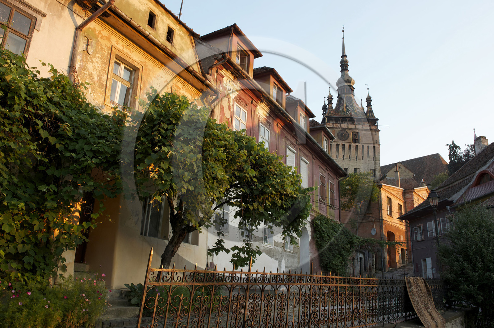 Roumanie, Sighisoara