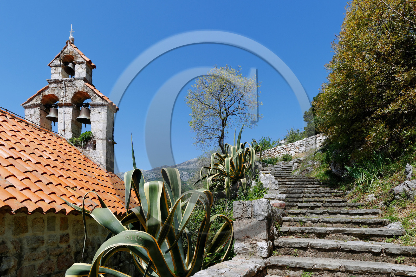 Montenegro, Petrovac