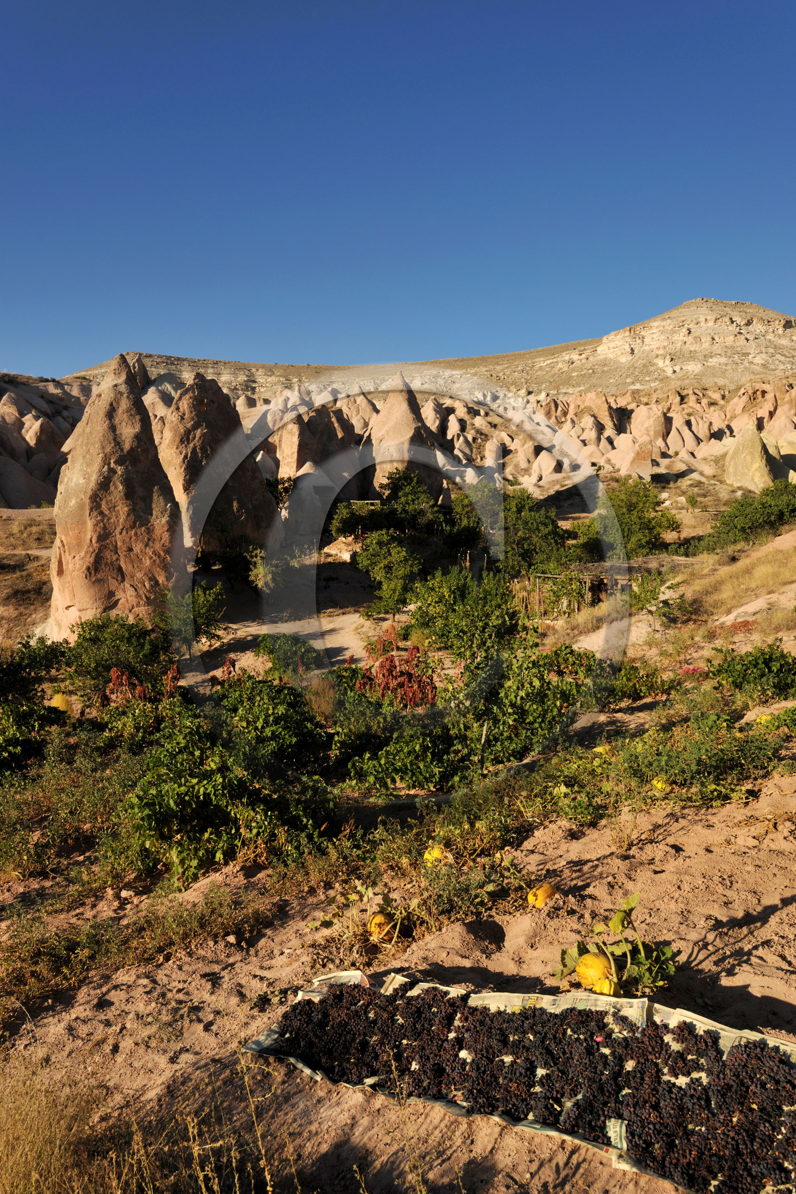 Turquie, Cappadoce