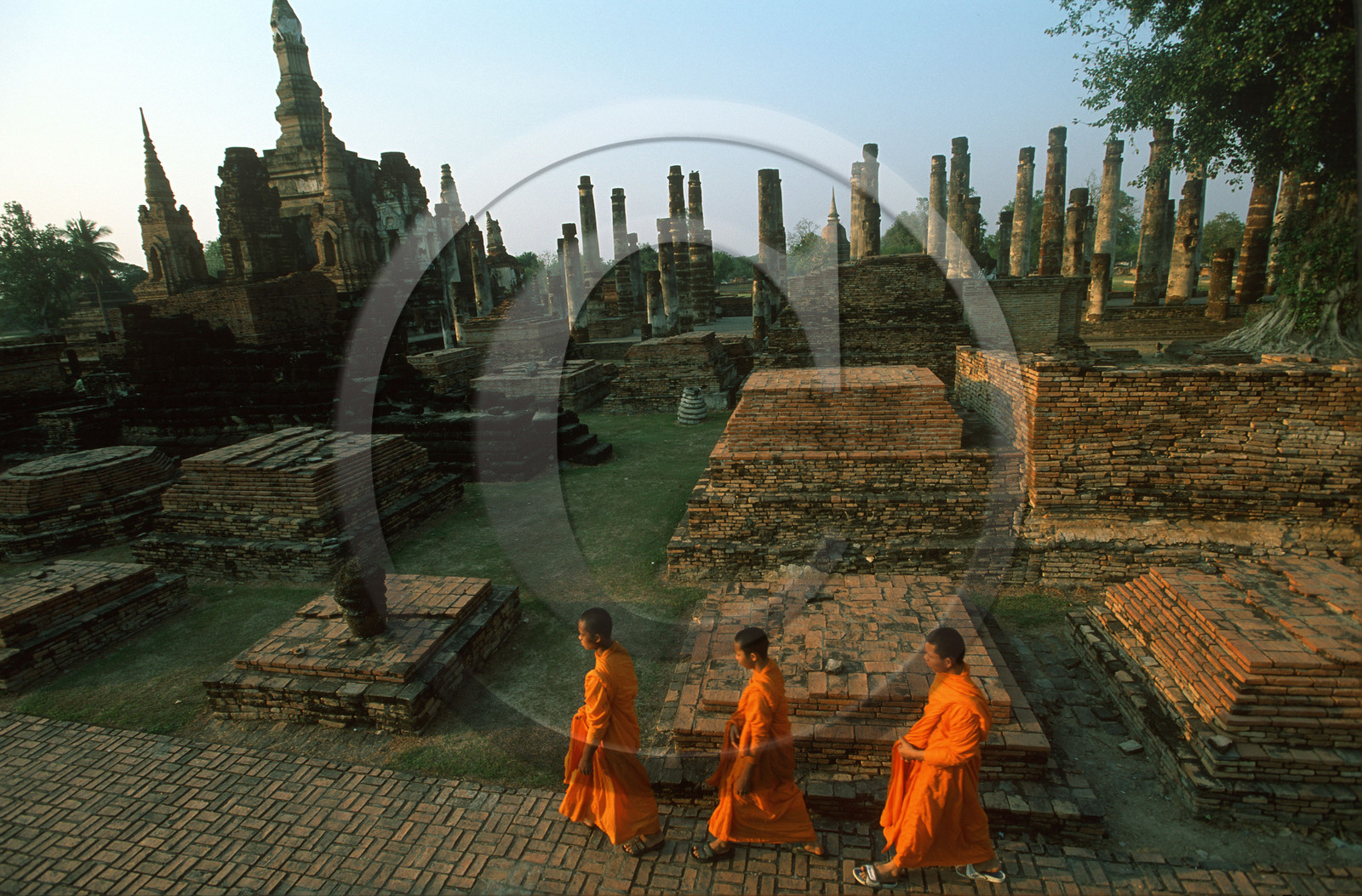 ©René MATTES THAILANDE