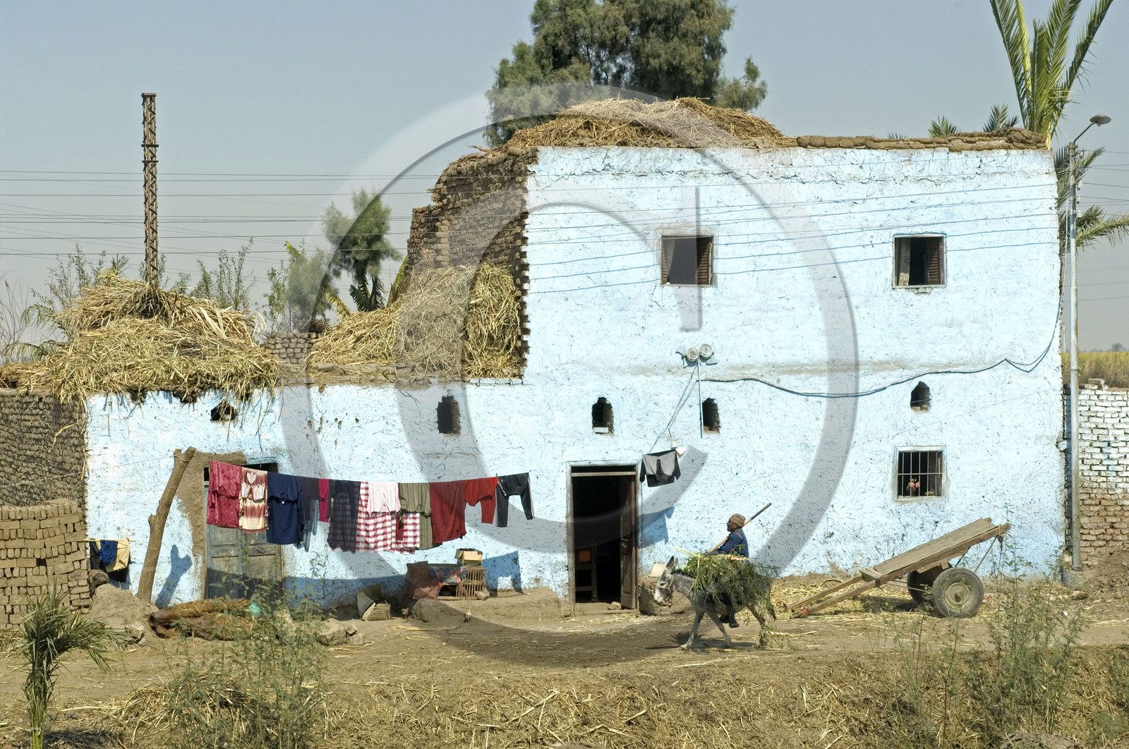 Egypte, Vallée du Nil