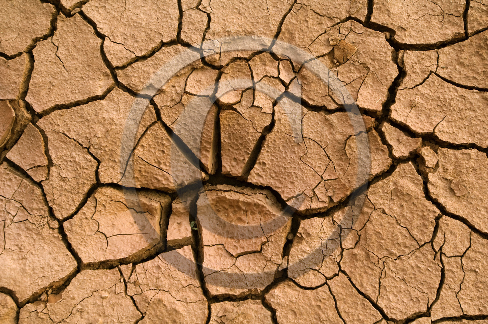 USA, MONUMENT VALLEY