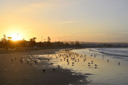 Maroc, Essaouira