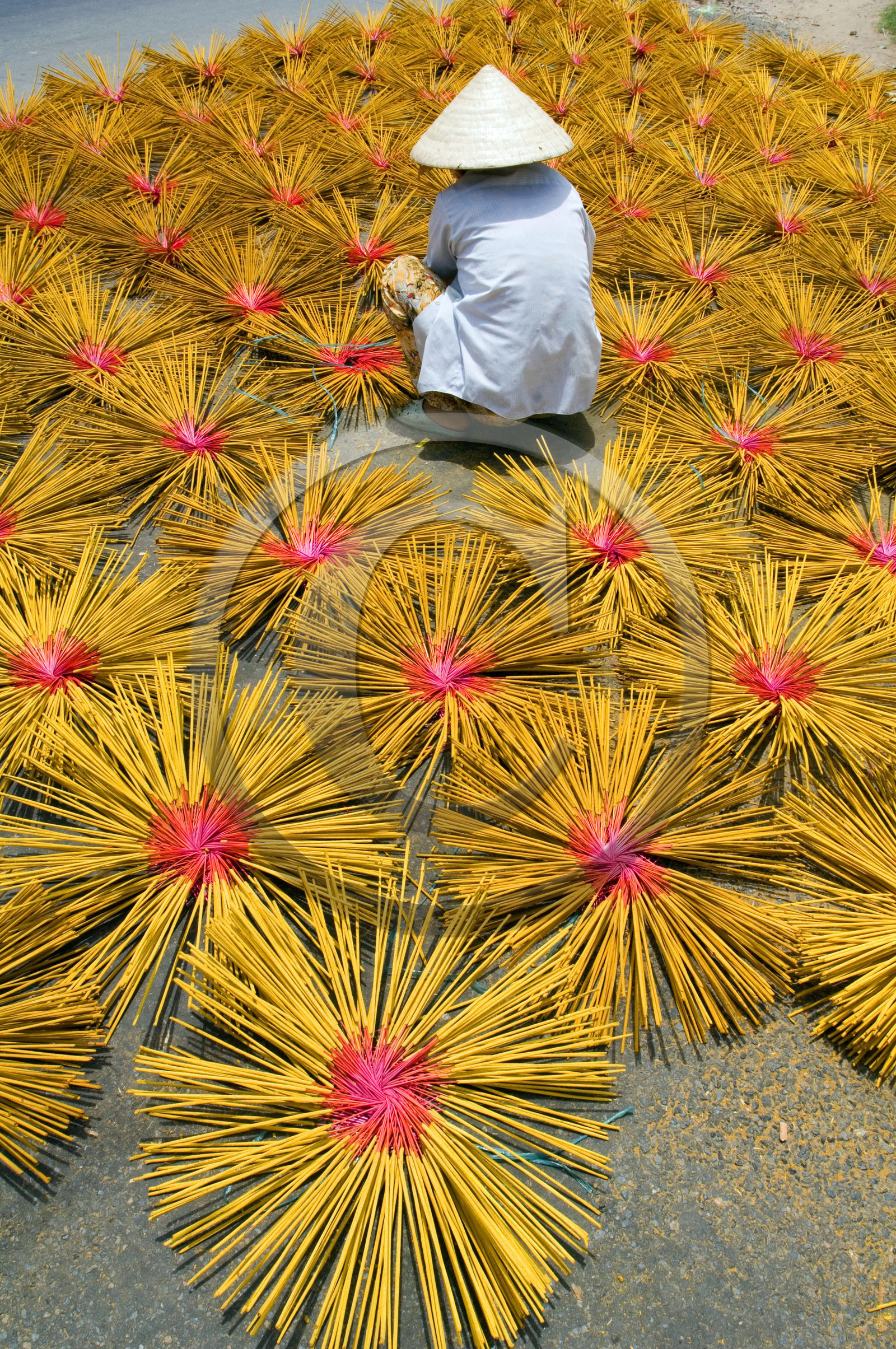 DELTA DU MEKONG, VIETNAM