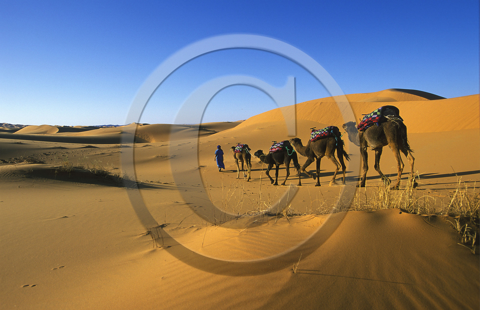 MAROC SUD   MERZOUGA.ERG CHERBI