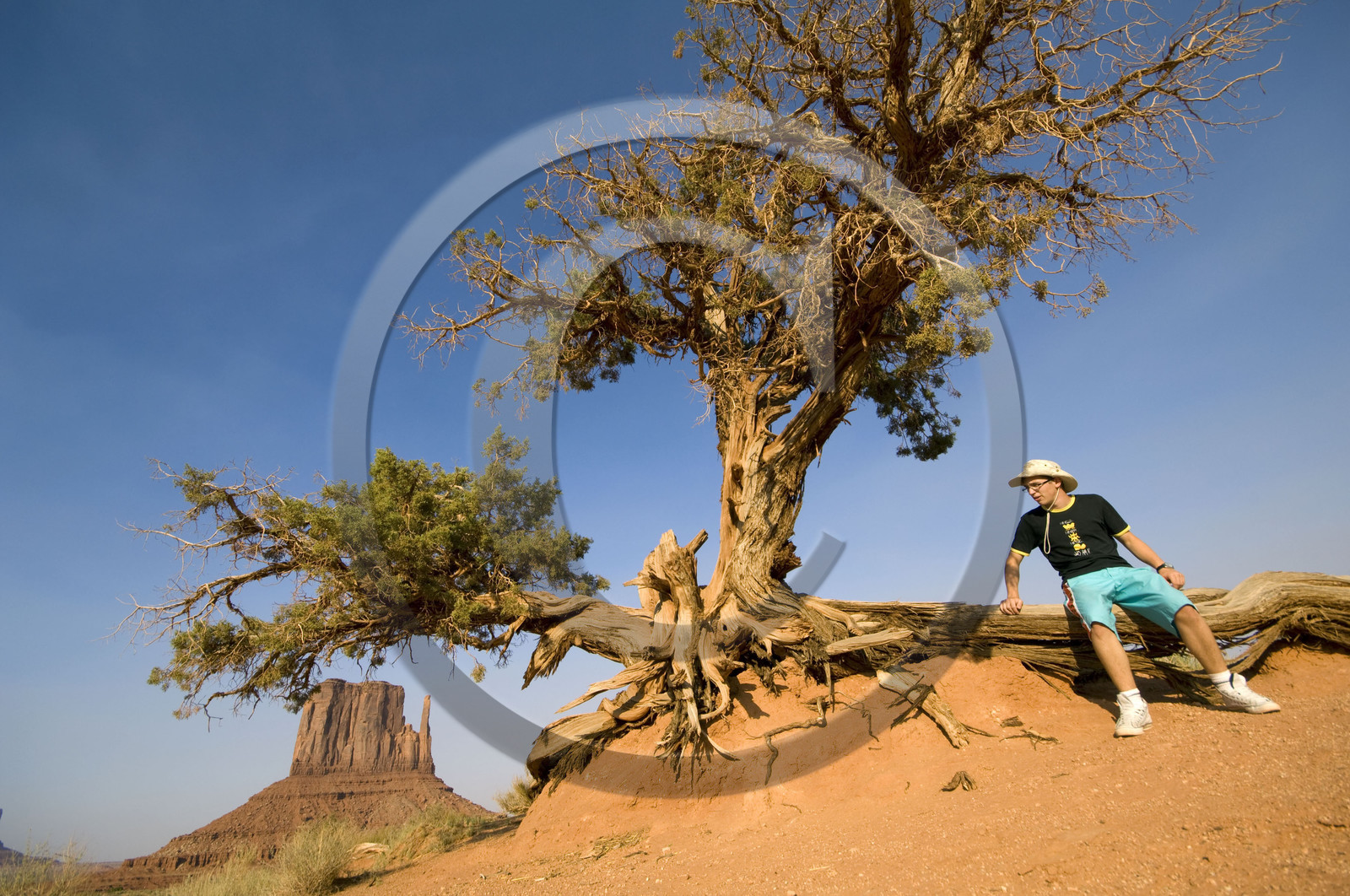 USA, MONUMENT VALLEY