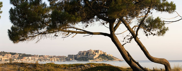 Calvi, Corse