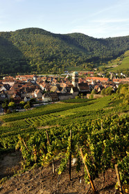 France, Kaysersberg