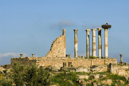 Volubilis, Maroc