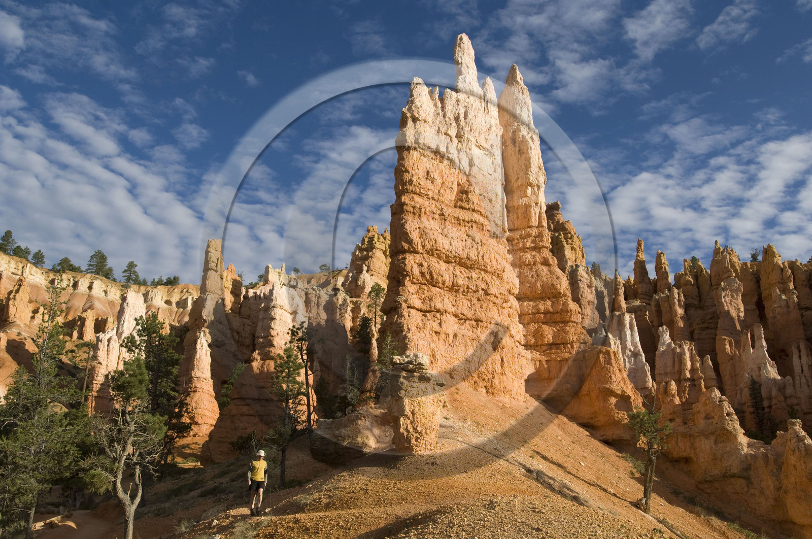 USA, BRYCE CANYON