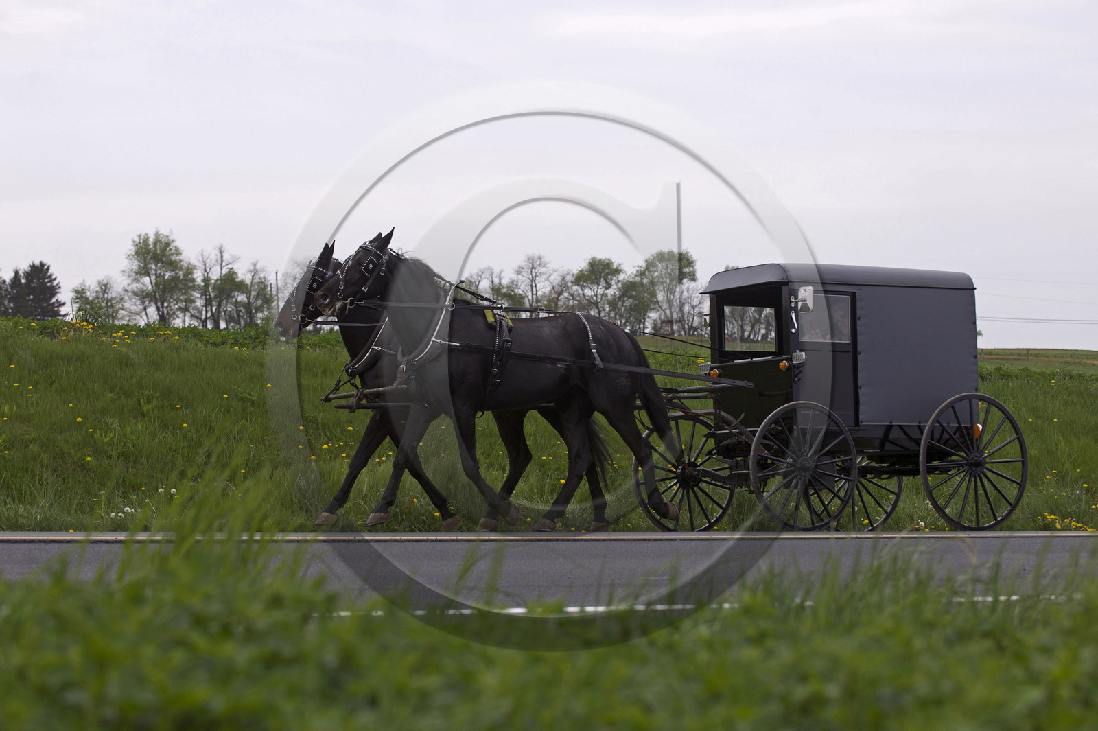 USA, Amish