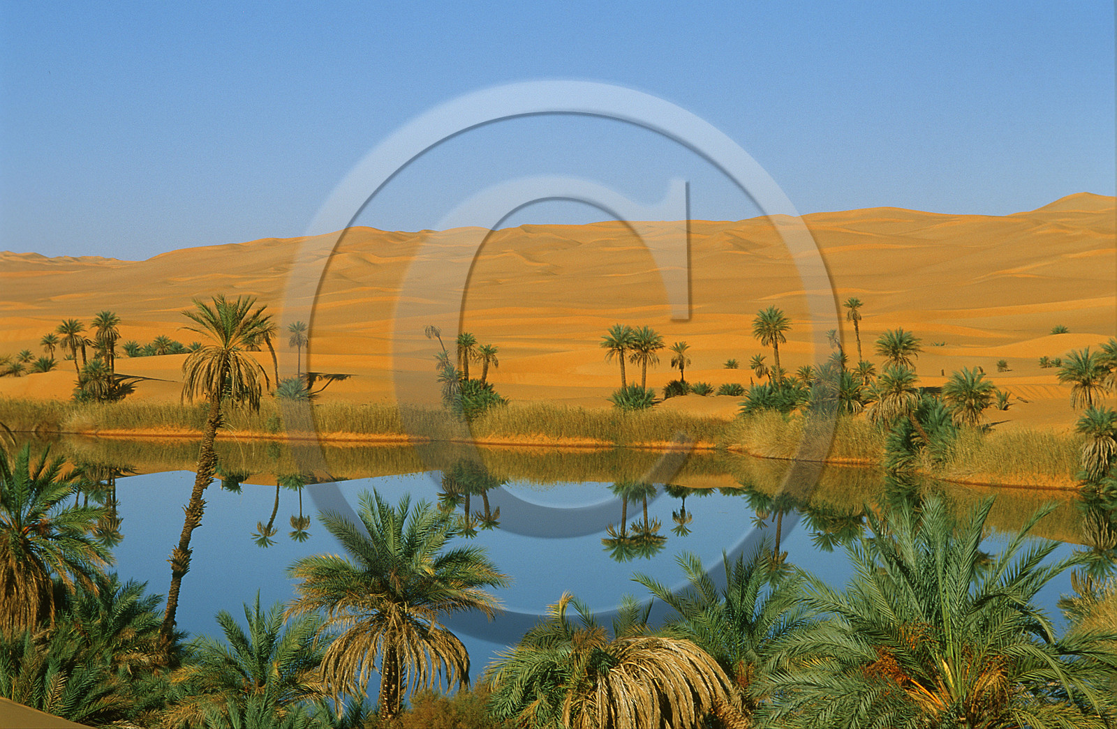 Dunes d'Oubarit, Libye