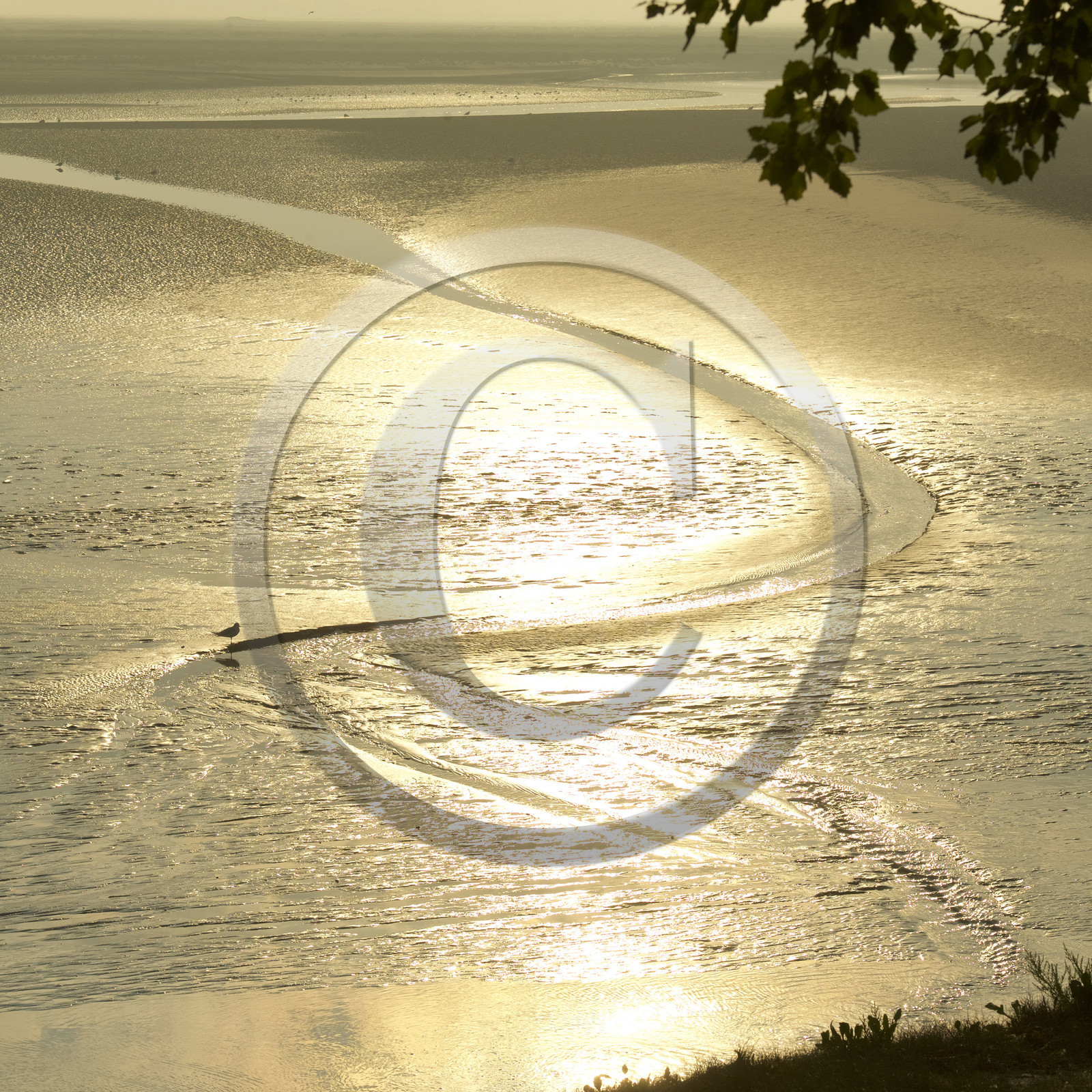 France, Baie de Somme