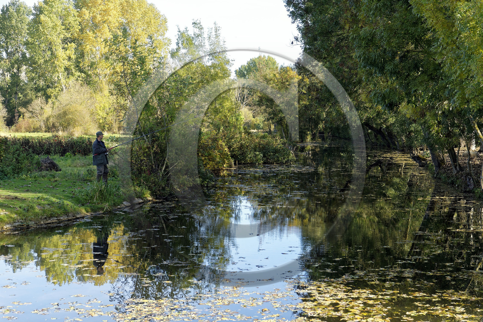 France, Marais Poitevin