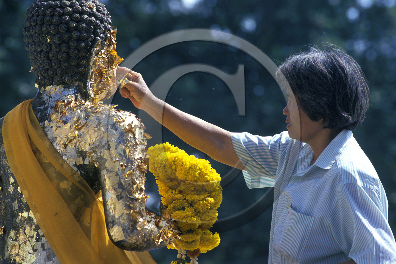 THAILANDE   AYUTHAYA