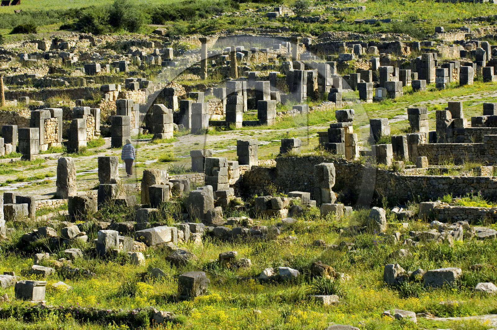 Volubilis, Morokko