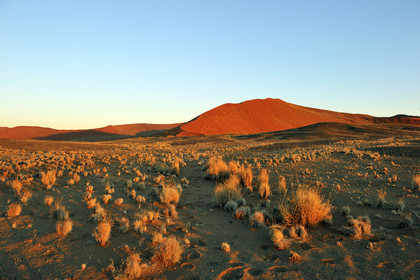 Namibie, Sossusvlei