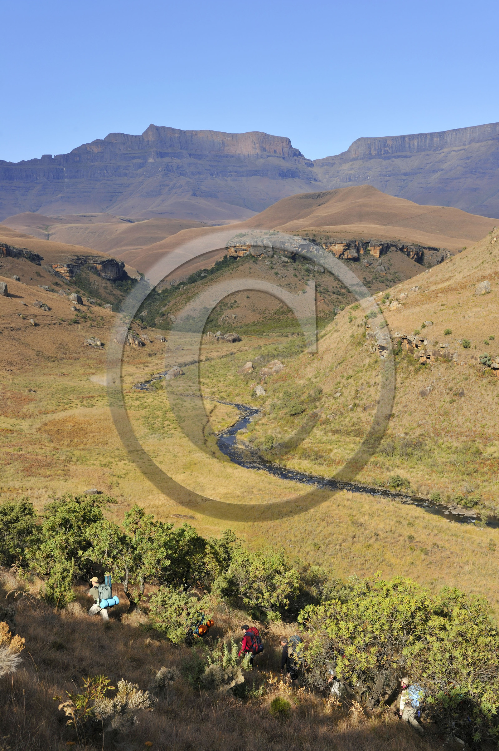 AFS, Drakensberg