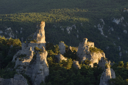 France, Montpellier Vieux