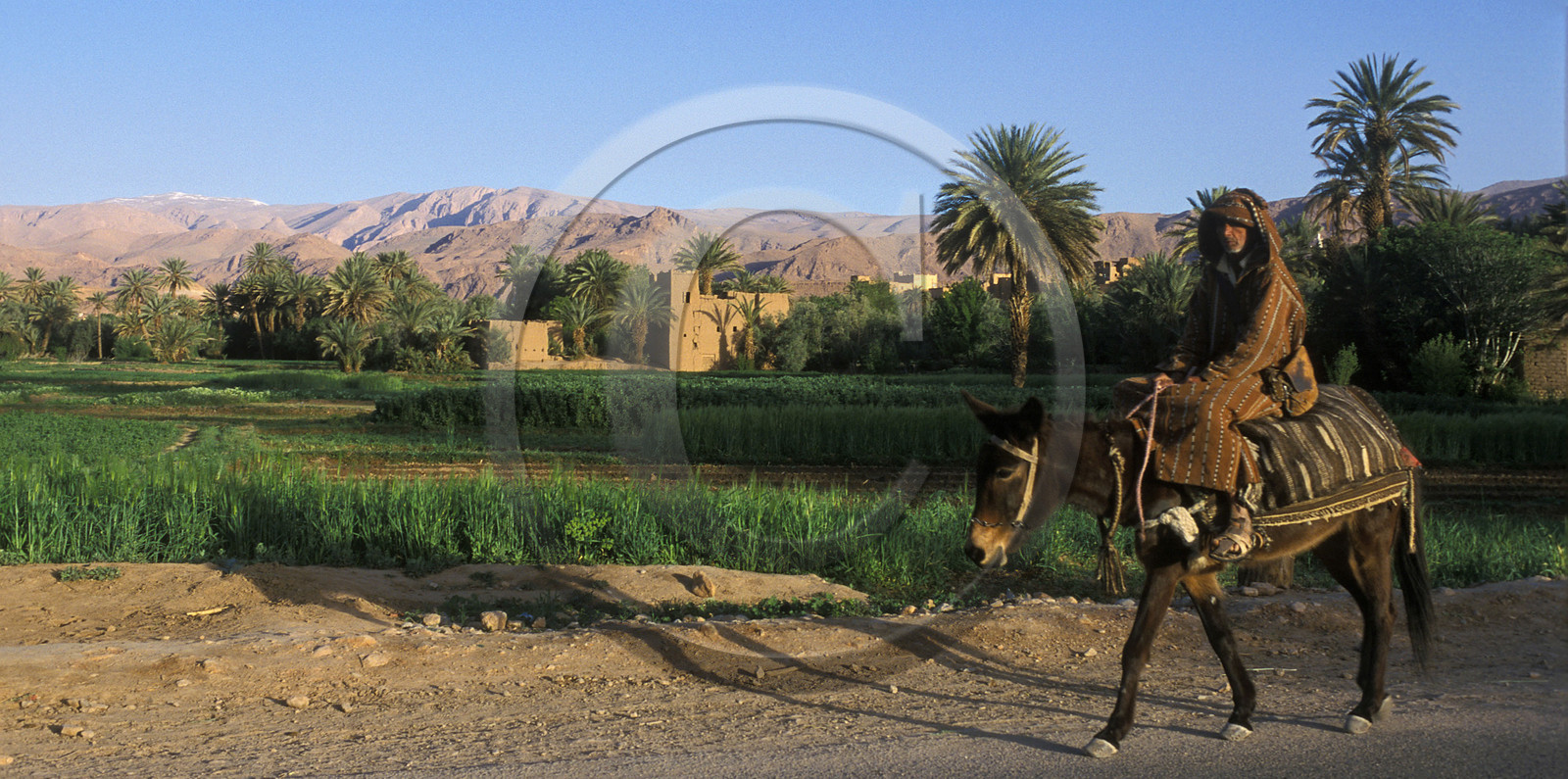 MAROC SUD  TINEGHIR.