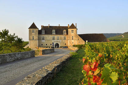 France, Vougeot