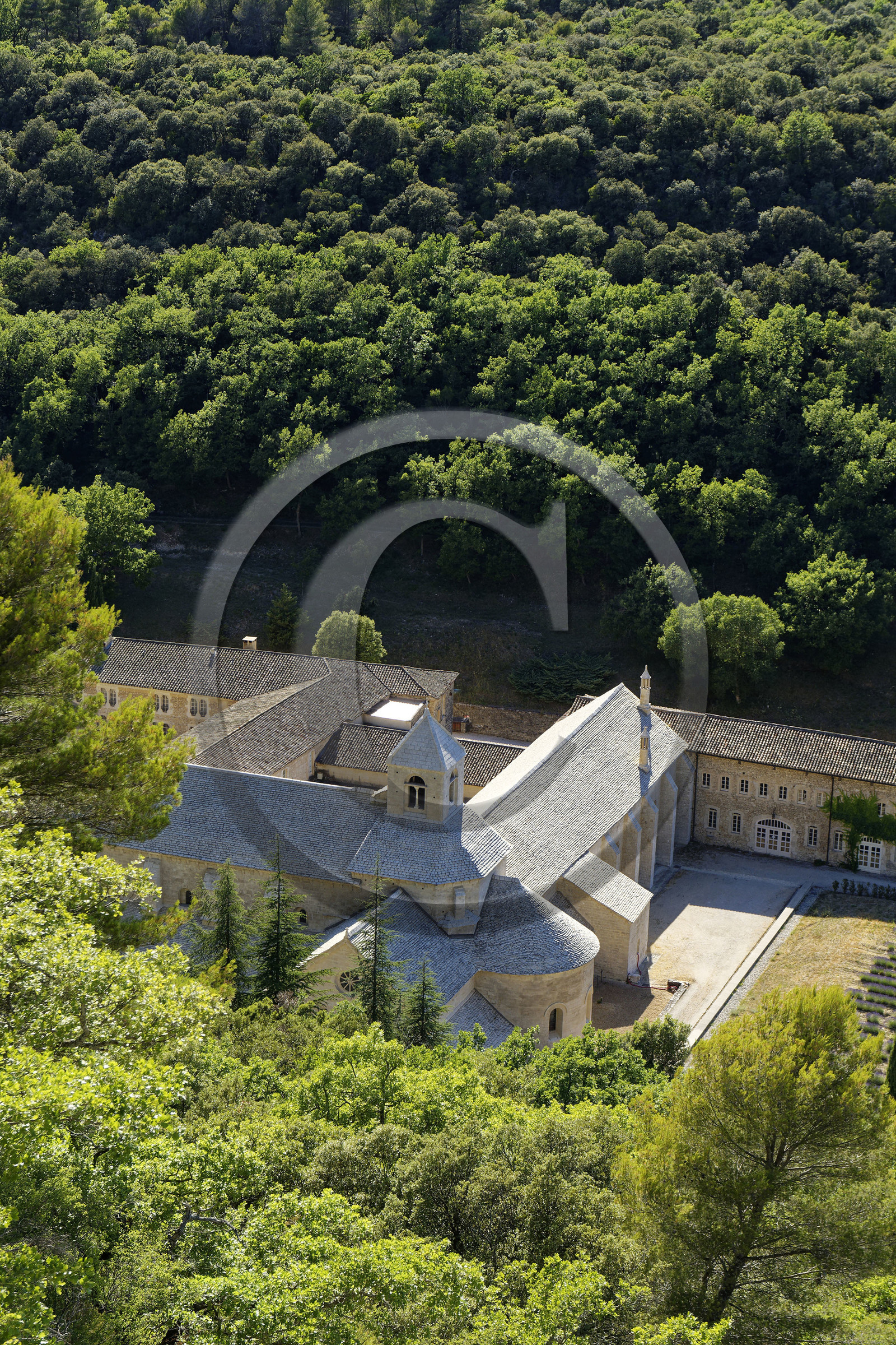 France, Senanque