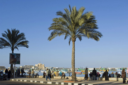 Egypte, Alexandrie
