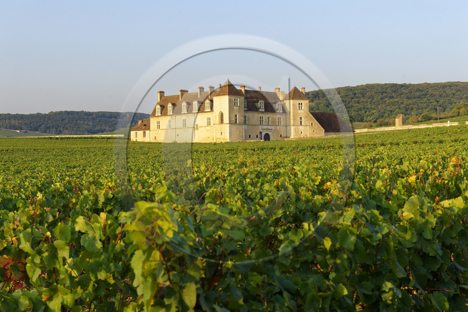 France, Vougeot