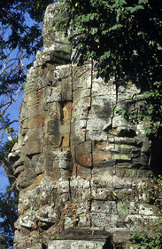 Angkor. Cambodge