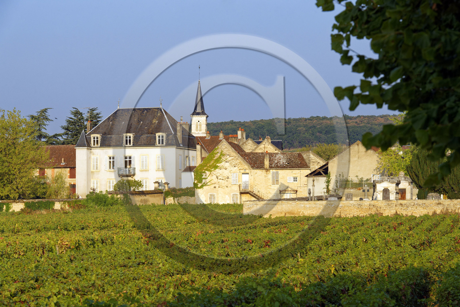 France, Bourgogne