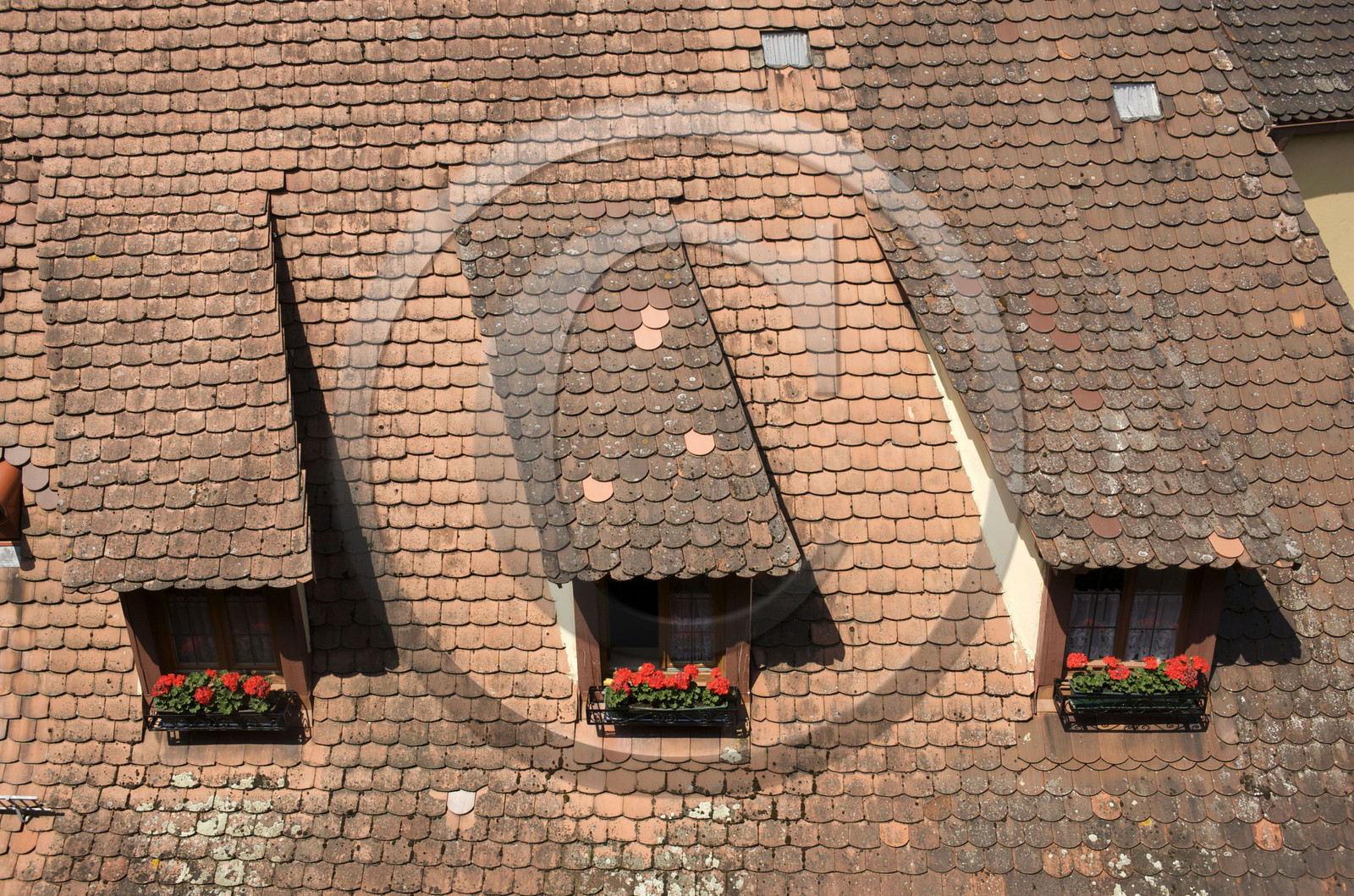 Allemagne, Rothenburg