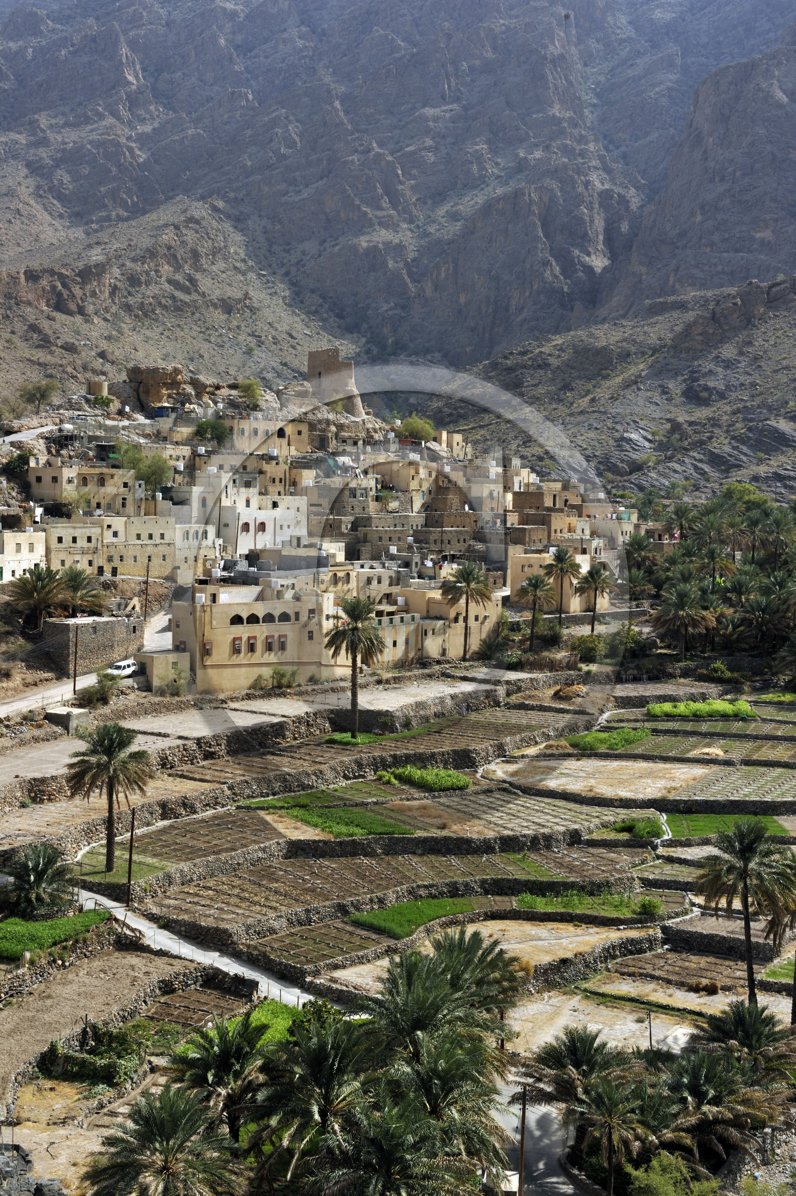 Oman, Rustaq