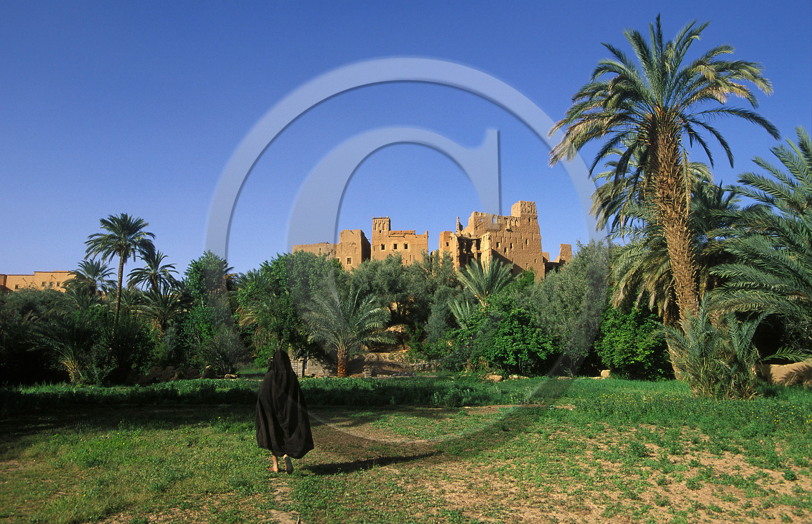 MAROC SUD  TINEGHIR.LA PALMERAIE + MEDINA