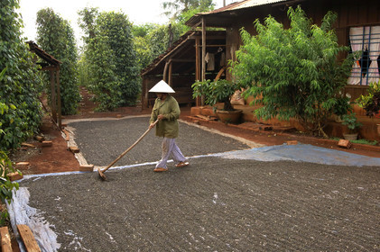 HAUTS PLATEAUX DU CENTRE, VIETNAM